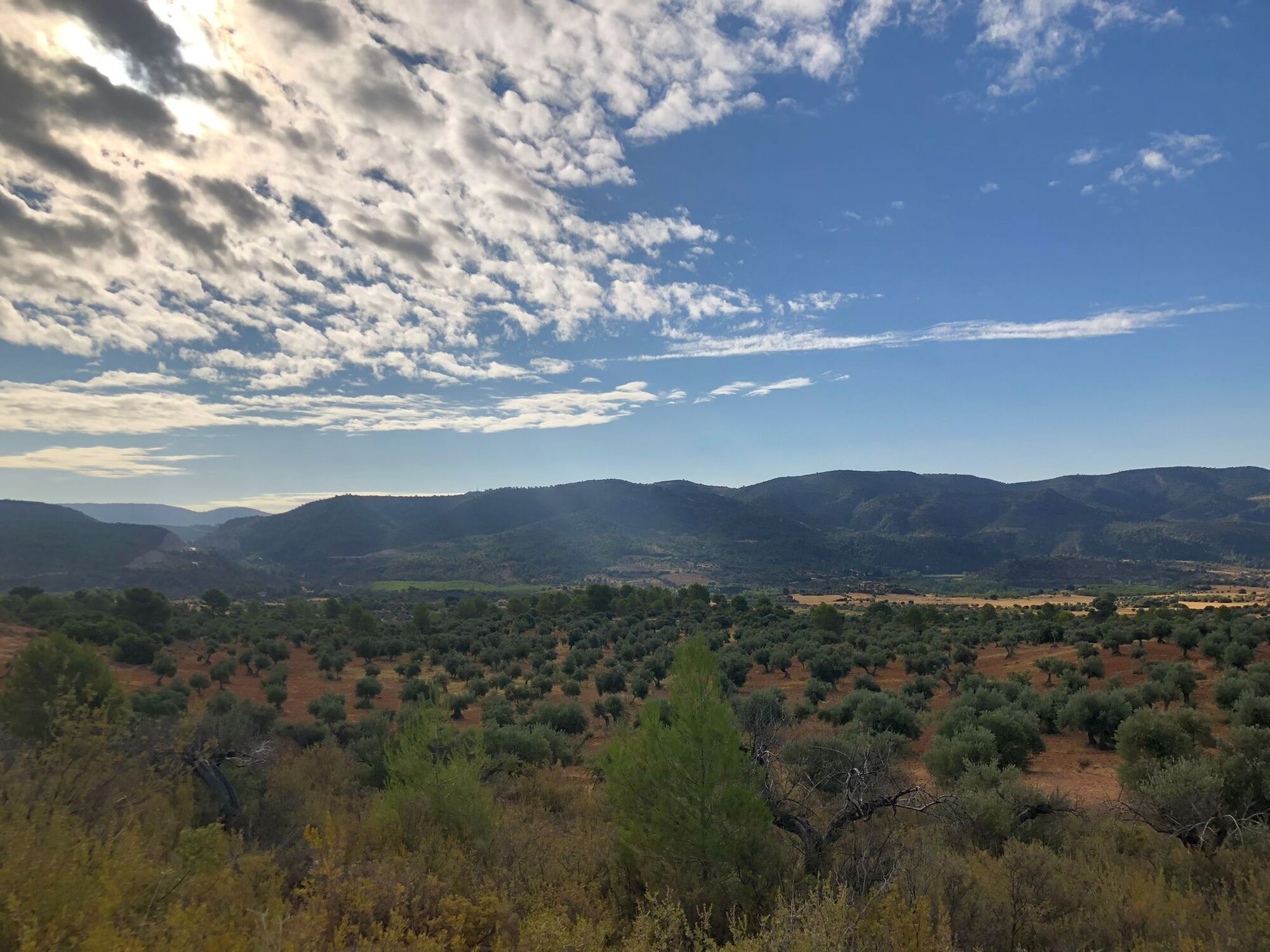 Olivares de Alcarria Baja con la sierra al fondo